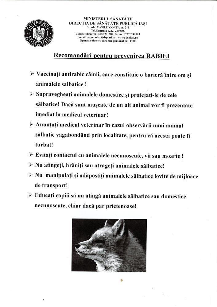 Recomandări pentru prevenirea Rabiei